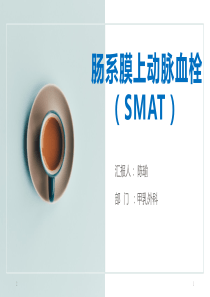 肠系膜上动脉血栓的护理PPT参考幻灯片