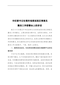市纪委书记在落实省委巡视反馈意见整改工作部署会上的讲话