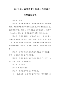 2020年x审计局审计监督公示实施办法规章制度5