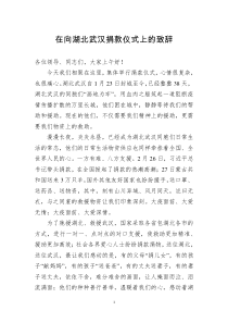 在向湖北武汉捐款仪式上的致辞