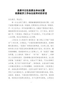 [doc文档可编辑]县委书记在县委全体会议暨县委经济工作会议结束时的讲话
