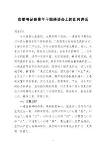 [doc文档可编辑]市委书记在青年干部座谈会上的即兴讲话
