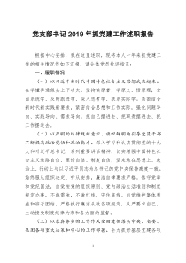 [doc文档可编辑]党支部书记2019年抓党建工作述职报告