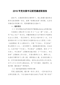 [doc文档可编辑]2019年党支部书记抓党建述职报告