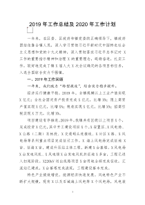 [doc文档可编辑]2019年工作总结及2020年工作计划2