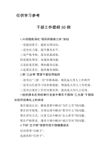 干部工作提纲30例