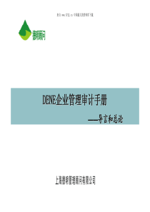 《DENE企业管理审计手册》(pdf 39）