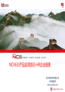 NCV633产品应用培训PPTHR企业报表全文案例分析电子版