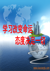 仪容仪表培训全文案例分析电子版