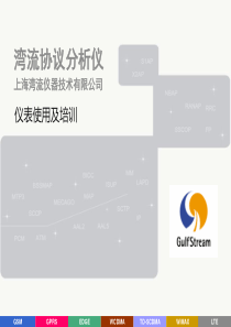 湾流仪表使用及培训全文案例分析电子版