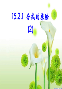 15.2.1--分式的乘除(2)
