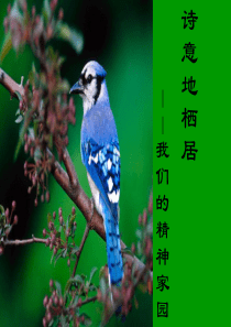中国文学史-全-