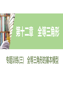 专题训练(三)-全等三角形的基本模型