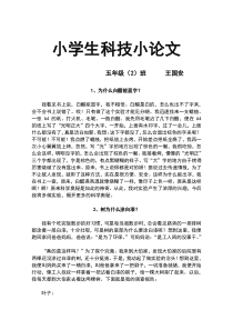小学生科技小论文