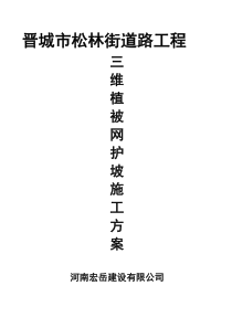 1三维植被网护坡施工方案
