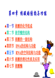 生物化学之核酸的结构与功能