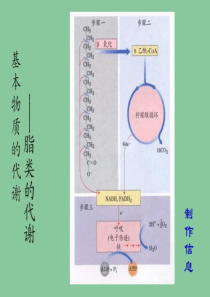 第十一章脂类代谢共38页