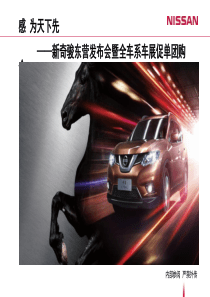 新奇骏上市方案