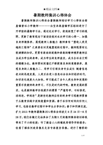 暑期教师集训心得体会
