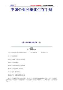 中国企业利基化生存手册(1)