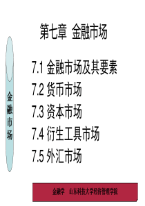 第七章+金融市场