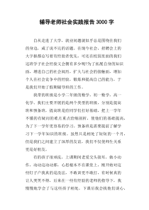 辅导老师社会实践报告3000字
