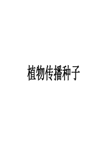 植物怎样传播种子-演示文稿