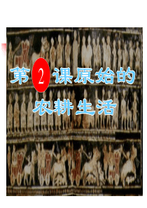 七年级历史上册原始农耕生活