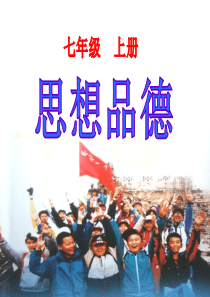 初中政治课件