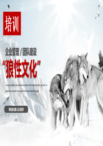 狼性文化培训PPT