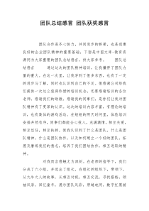 团队总结感言 团队获奖感言