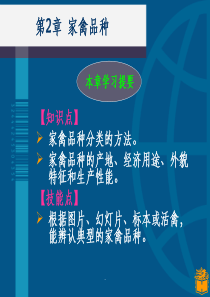 第二章家禽的常见品种