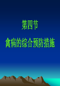 禽病的综合预防措施