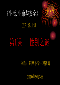 1性别之谜