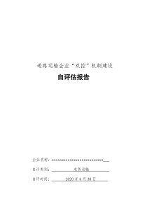 双控自评报告