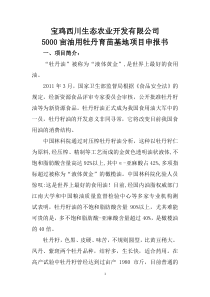 项目申报书