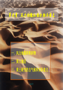 风成地貌--ppt课件