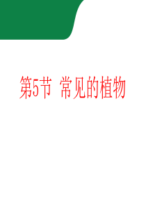 七年级科学上册《常见的植物》PPT课件