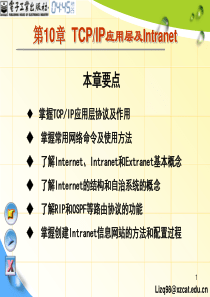 计算机网络基础(第3版)[李志球][电子教案]第10章