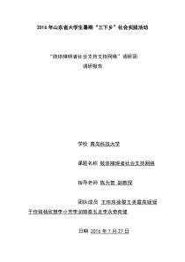 “三下乡”调研报告
