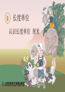 认识长度单位-厘米
