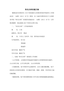 阳光分班实施方案