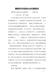 暑假回访母校社会实践报告