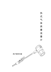 热式气体质量流量计