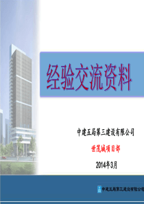 世茂城汇报材料—精细化推进会