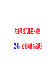 部编版教材六年级上册《丁香结》ppt课件