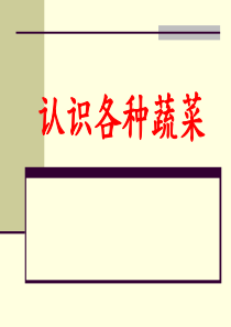 认识各种蔬菜