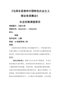 垃圾分类情况调查