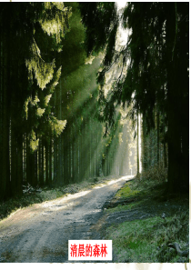 分散系(上课用)