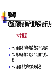 第五章理解消费者和产业购买者行为